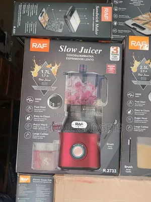 Raf Large Capacity Slow Juicer- 1.7l 300w