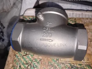 2" Stainless Steel Non Return Valve
