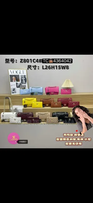 2 in 1 Channel Bag