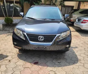 Lexus RX 2010 Gray