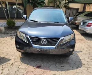 Lexus RX 2010 Gray