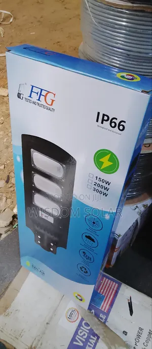 FFG Solar Street Light 300w