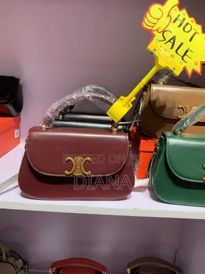 Lady Celine Designer Bags