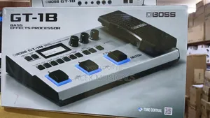 Gt-1b Babes Effects Processor