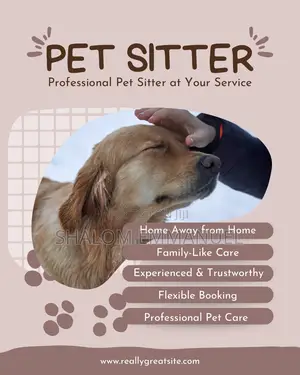 Reliable and Trusted Pet Sitter