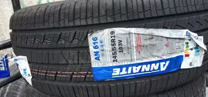 245/55r19 Tire Annaite 2026