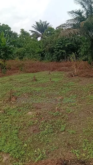 Properties