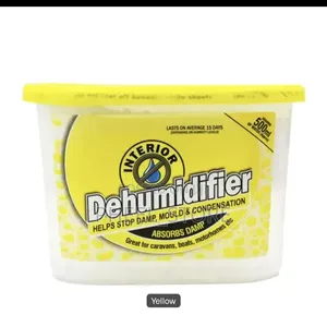 Interior Dehumidifier