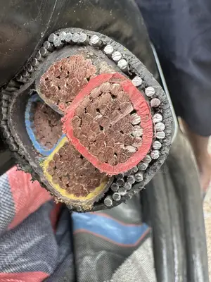 This Is 240mmx4core Armored Cable