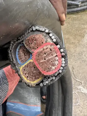This Is 240mmx4core Armored Cable