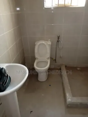 Plumbing Sentry Filithings