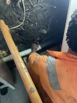 Cold Insulation