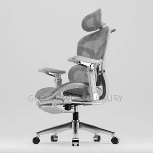 Ergonomic Mesh Office Chair With Massage.