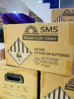 12.8v 100ah 1.2kwh SMS Lithium Iorn Battery