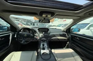 Acura ZDX Base AWD 2010 Gray