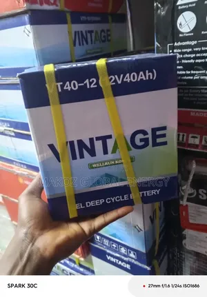 Brand New 12v 40ah Vintage Gel Deep Cycle Battery