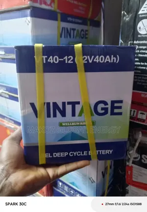 Brand New 12v 40ah Vintage Gel Deep Cycle Battery