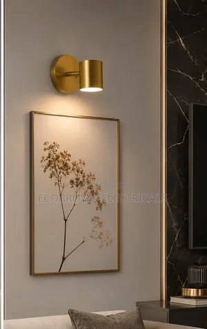 Mirror Light and Picture Gallery Frame