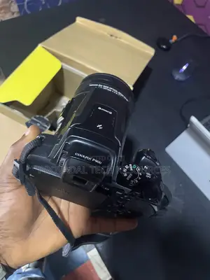 Nikon Coolpix P900 Superzoom (83x Optical Zoom) - Perfect for Wildlife