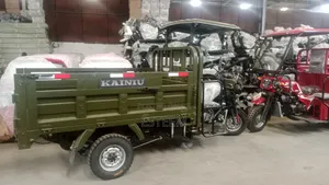 New Tricycle 2025