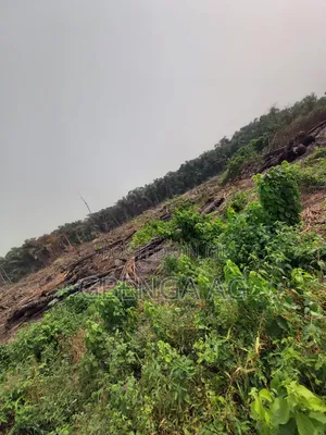 40 Acres of Land for Sale at Ketu Epe Lagos