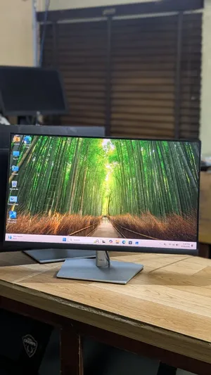 Dell P2422he Hub Monitor 2020