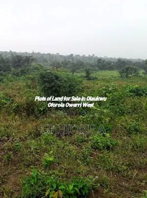 2 Plots for Sale in Independent Layout Olaukwu Oforola Owerri West