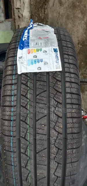 225/70r16 Tire Annaite 2026 Original 