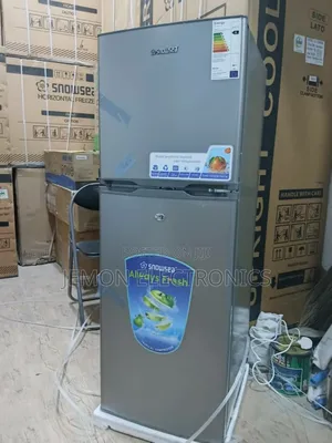 Snowsea BCD-198 Upright Freezer – Energy Saving Fast Freezing