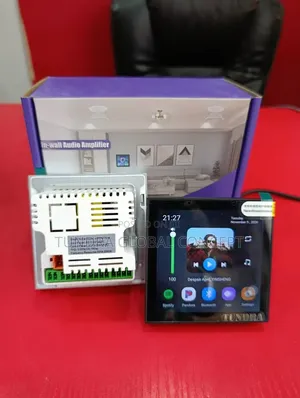 Tundra 4inches Smart Wall Amplifier With Alexa App and Tuya