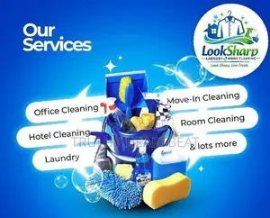 Looksharp Home Cleaning and Lundary Service