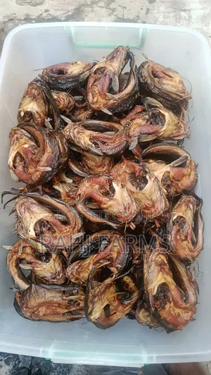 Premium Oven Smoked Catfish| Medium 15-18/ Per Kg/Per Pack|