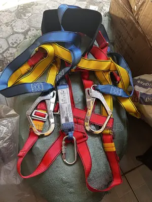 Body Harness