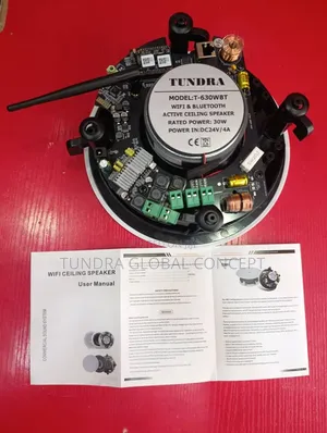 Tundra Single Smart Wifi Speaker