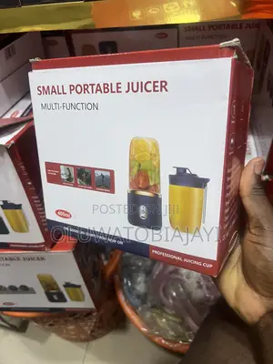 Mini Multi Function Juicer