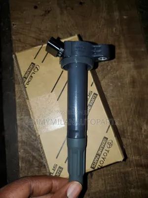 Plug Coil Igr and 2gr