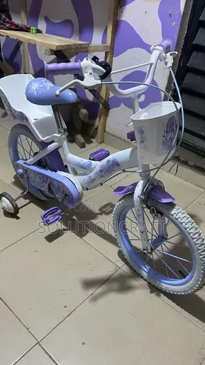 Beautiful Sofia Bicycle