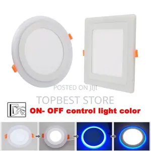 Ceiling Spot Light Double Color