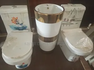 Wc System For House