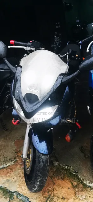 Suzuki Bandit 2004 Blue