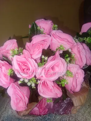 Rose Flower