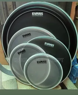 Evens Ec2 Coated 5sets Drum Vellum