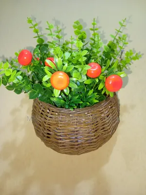Hanging Flower