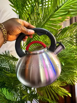 Modern Whistling Kettle