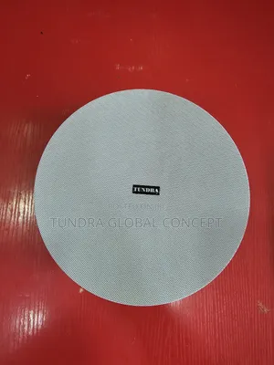 Tundra 40watts Frameless Ceiling Speaker