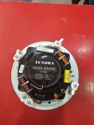 Tundra Stereo 30watts Frameless Ceiling Speaker v-630