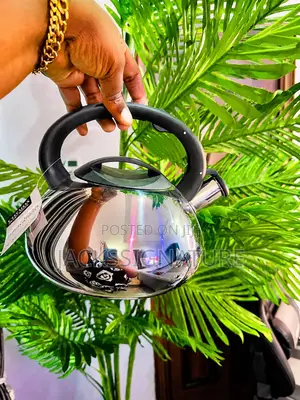 Mirror Finishing Whistle Kettle