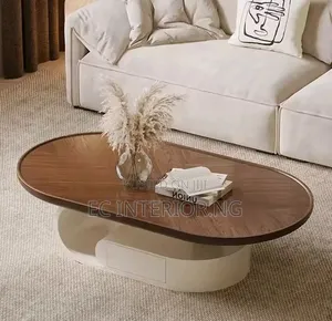 Custom Modern Shape Veneer Coffee Table Light Luxury Living Room