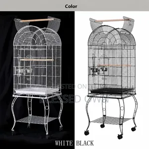 Beautiful Imported Cage for Parrot Birds