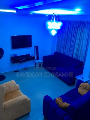 Neatly Used Sofa